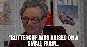 "Buttercup was raised on a small farm...