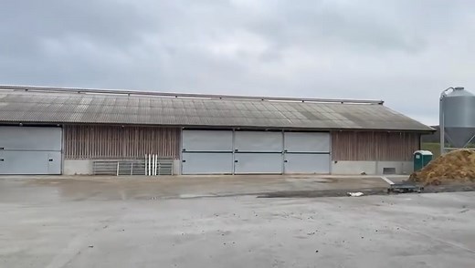 12K views · 43 reactions |  Take a look at this impressive Calf...