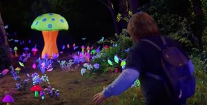 20 Red Rocks shows to see now that shrooms are decriminalized in Denver