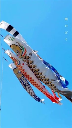 Kodomo no Hi Japan 🎏 Children’s Day Koinobori Festival Golden Week #japantravel #koinobori #japan