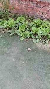 Extreme three choices #digital #explore | Trendy Tech Review