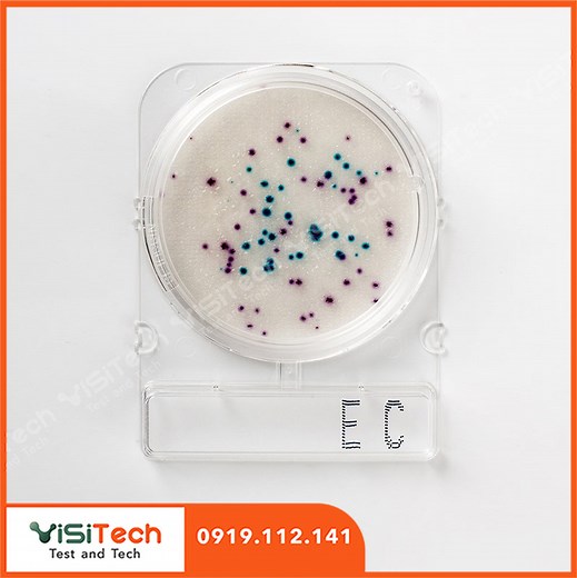 Đĩa Compact Dry kiểm E.coli và Coliforms- Compact Dry EC - Nissui