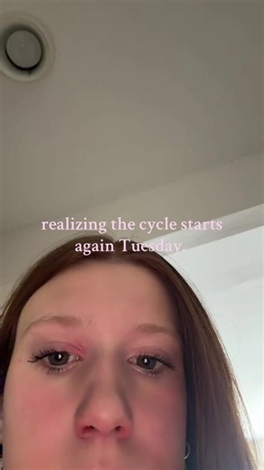 Understanding the School Year Cycle