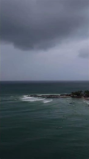 DarknStormy Snapper