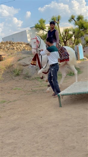 Nadia ghodi ka Dhamal dance, amazing performance ❣️🐎 #horse #horsedance