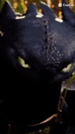 toothless and hiccup are the scariest people you're ever going to meet