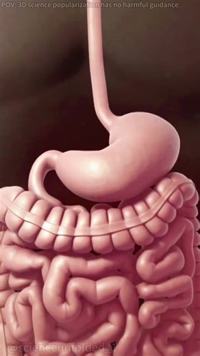 Gastric Band Surgery (3D Animation) #gastricband #gastricbandsurgery #gastricbanding #gastricbandingsurgery #gastricbypass