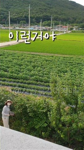 시골생활의 장단점 #전원일상 #힐링영상 #nature #시골풍경