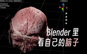 用Blender看自己的脑子？直接写实渲染CT