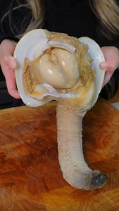 LINNA.eats on Instagram: "GEODUCK SASHIMI! Briny, sweet & slightly crisp! INSTRUCTIONS: Blanch in hot water for 15 seconds then transfer into an ice bath - Use a sharp knife to cut the neck from its organs attached to the shell - Remove the outer layer of the skin from the neck - Scrub the neck & tip with lime and repeat - Detach the body from the neck & run a knife along the neck & cut into thin slices @theshellfishcook SPICY WASABI SAUCE: - Blend wasabi with a spritz of fresh lime juice, pinch