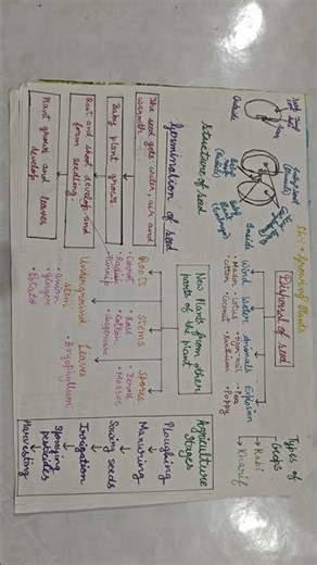 class 5 science ch 1 growing plants mind map #class5 #science #ch1 #EVS #mindmap #conceptmap #shorts