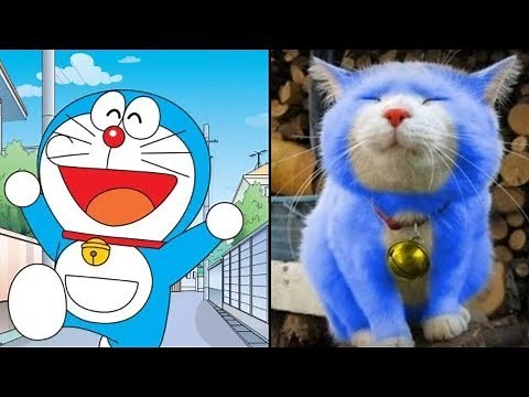 Những Nhân Vật Hoạt Hình Doraemon Có Thật Ngoài Đời !