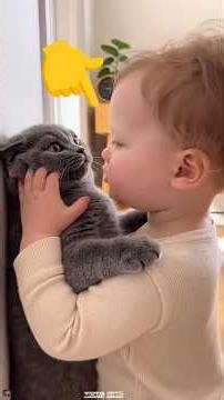 Tiny Baby & Cute Kitten Moments 🥰 #funnyshorts #viralshorts #shortsfeed