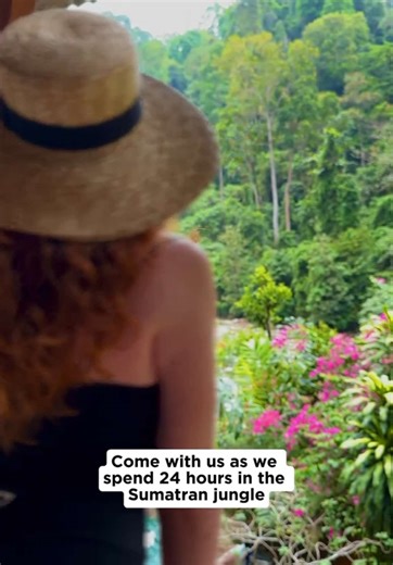 Spend 24 hours in the Sumatran jungle with us 🦧 This bucket list experience is one of the most amazing adventures we’ve ever had! Here is everything you need to know when planning your jungle trip👇🏻 Where is Sumatra? 🌎 Sumatra is an island located in Indonesia and is one of only 2 places in the world where you can see wild orangutan 🦧 How do I book this experience? 🤔 We booked through @sumatraorangutanexplore and honestly couldn’t recommend these guys enough 🙌🏻 The guides were super know
