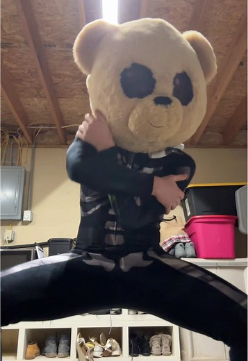 Luv the bear🐻❤️‍🩹#fyp #viral #dance #fypシ #animal