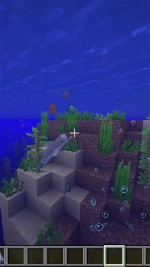 This dolphin is really playing with items 🐬😳 #minecraft #minecraftshorts #gaming