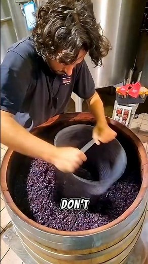 This Is How Red Wine Starts… As a Slow Squeeze