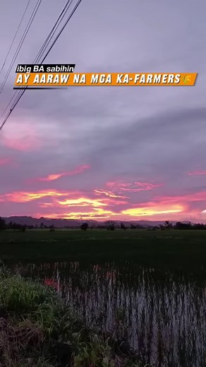 289 reactions · 27 shares | 8 rows Filipino made mechanical rice transplanter na mabibili Dito satin sa pilipinas #viralvideoシ #fyipシツ #kafarmers #modernongpagsasaka #agriculture #farmerlife #MAGSASAKA #mechanicaltransplanter #supportlocalfarmer #agriculturalmachinery #agribusiness #supportlocal | Glen M Ibanez | Facebook