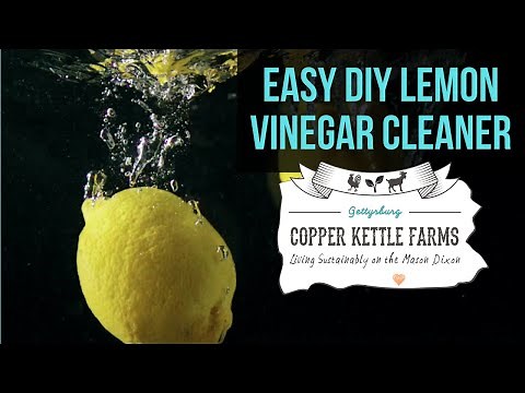 Easy DIY Lemon Vinegar Cleaner for Home