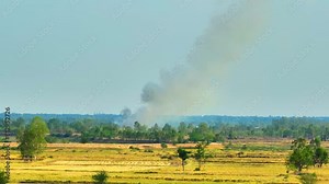A serene countryside unfolds beneath a clear sky, revealing a quilt of harvested fields dotted with trees. In the distance, a tranquil forest emits a gentle plume of smoke, hinting at a distant fire.