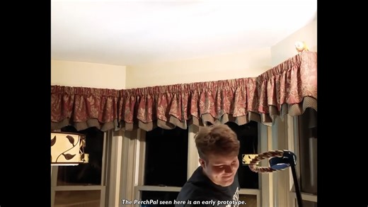 PerchPal is the only perch designed to retrieve your bird from high places.😮 It's also a great tool for training and safe handling of your feathered friend.🦜 To learn more and purchase yours today, please click the link below.😊 https://perchpal.net/purchase | PerchPal