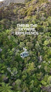 The world's longest flying fox is in New Zealand | escape.video | Facebook