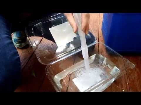 Electric Siphon Pump