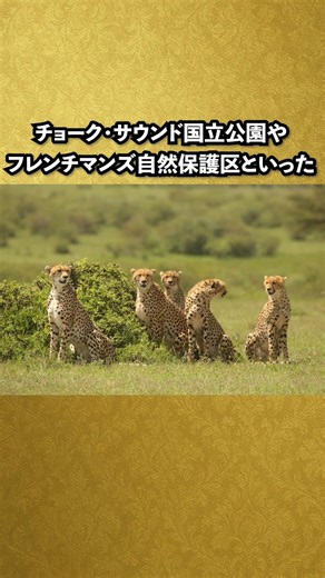 家が買えるくらい高い世界一高額なエアビー #雑学 #豆知識 #airbnb