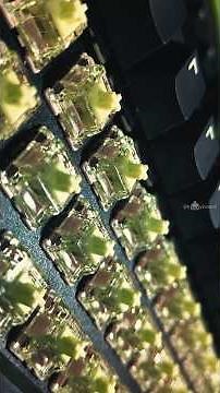Gateron Harmonic Clicky Switches - satisfying clicks & thocks! #asmr #keyboard #mechanicalkeyboard