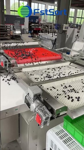 Blueberry belt sorting machine
