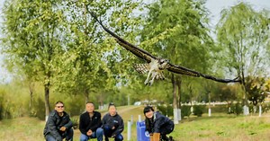 Beijing Raptor Rescue Center - China | IFAW