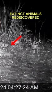 Extinct Animals Found Alive Again — Real Science Discoveries