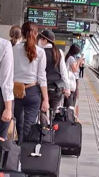 台灣高鐵最帥的一刻！列車長與站務員同步確認🚄 #台灣高鐵 #THSRC #列車長 #站務員 #指差確認 #新幹線 #train #Shorts