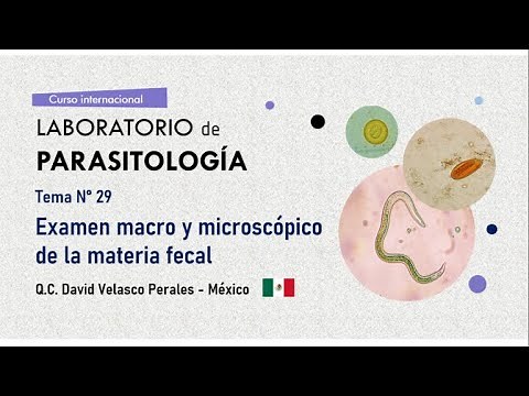 Tema n° 29: Examen macro y microscópico de la materia fecal