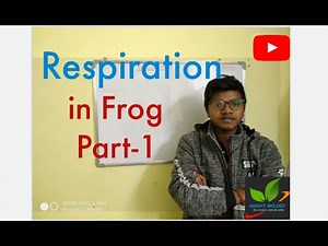 Respiration in Frog part-1/ Respiration through Gills and skin/ Buccopharyngeal Respiration