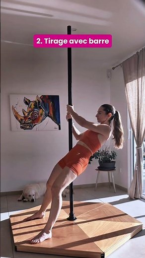 4 exercices débutant pour la force de dos et de gainage 💪🏼