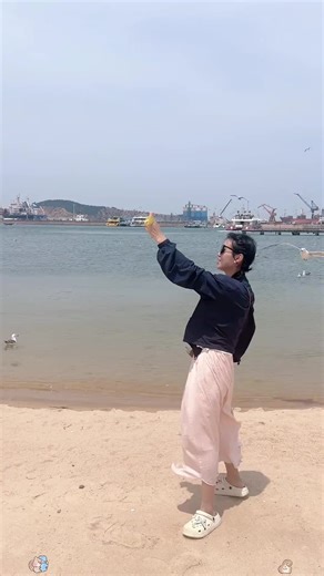 搞笑海鸥视频合集