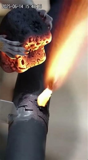 Squirrel Blows Up Family BBQ