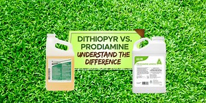 Dithiopyr vs Prodiamine: What's The Difference? - Grow Your Yard