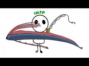 INFP Flirting Attempts