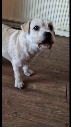 299K views · 6.2K reactions | Deefas Snippets | Paul Cooper | Facebook