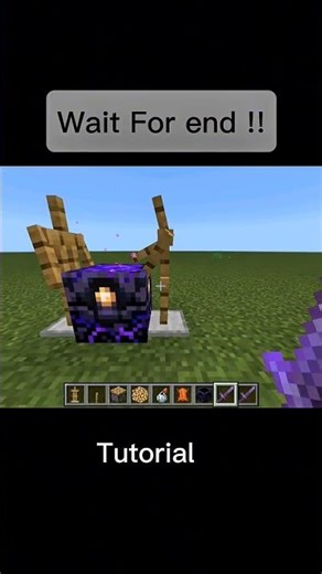 Minecraft sward trick !!