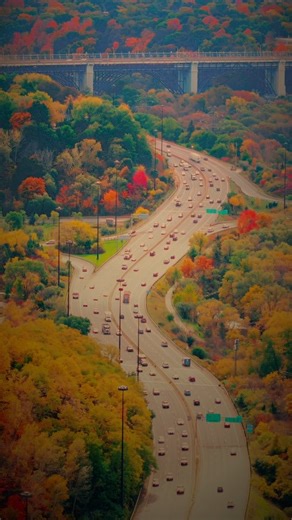 The city flows through fall colours #fallcolors #explore #canada #toronto | Rahab Photography