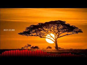 Diviners- Savannah (feat. Philly K) s-l-o-w a-n-d r-e-v-e-r-b