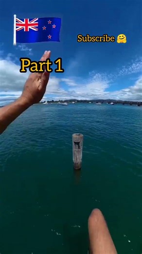किस देश कि टेकनिक सबसे अच्छी है🇮🇳🇧🇷🇵🇫#funny #jump #content #hindi #india #world #water #earth #edit