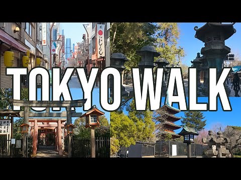 4K Tokyo Walking Tour 2025 🇯🇵 Explore Shrines, Streets & Serenity | Must-See Spots in Japan