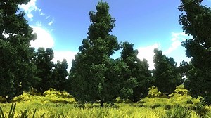 Birch Tree and Cypress Oak Forest Packs are Now on the Asset Store!