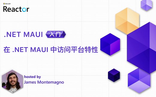 在 .NET MAUI 中访问平台特性｜.NET MAUI 入门