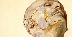 O livro nazista de anatomia que ainda hoje é usado por cirurgiões