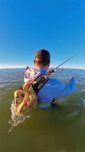 SF Bay Stripers Were ON FIRE 🔥